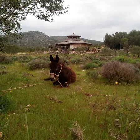 Primitivo Bay Hvar Lägenhet Hvar Town