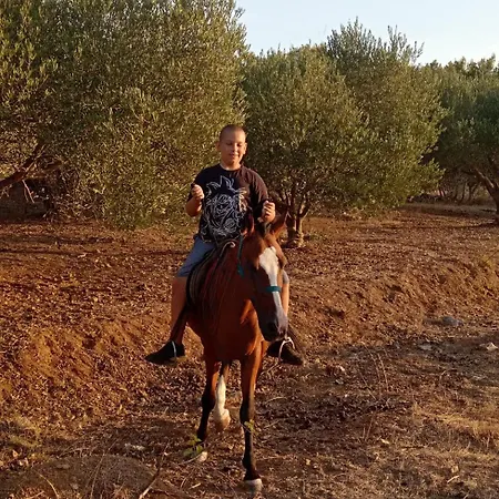 Lägenhet Primitivo Bay Hvar Hvar Town