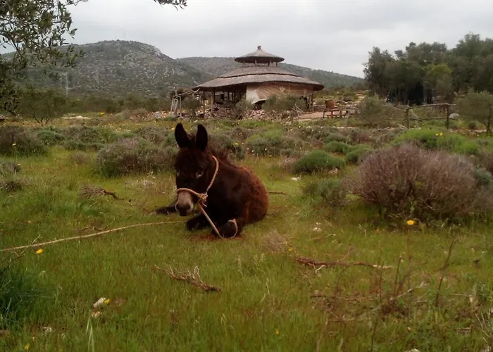 Primitivo Bay Hvar Apartmán Hvar Town