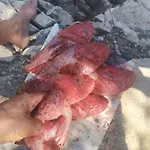 Primitivo Bay Hvar アパート フヴァル