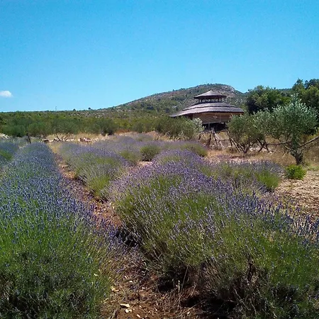 Apartament Primitivo Bay Hvar *