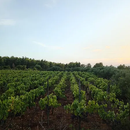 Primitivo Bay Hvar Апартаменты Хвар