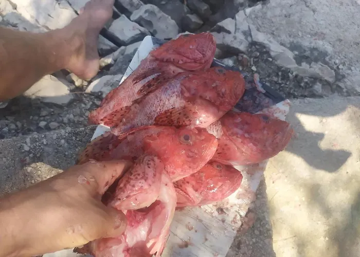 Primitivo Bay Hvar Apartamento Hvar Town