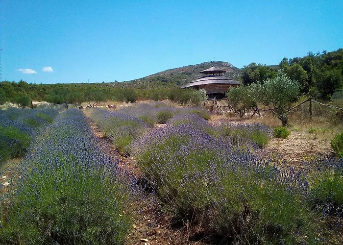 Apartamento Primitivo Bay Hvar *