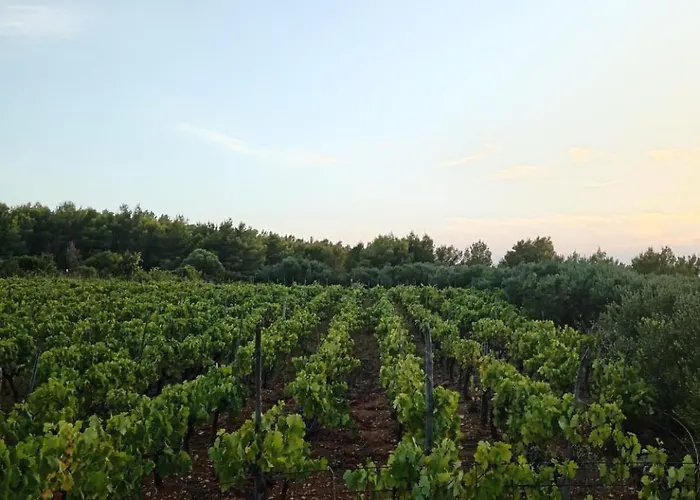 Primitivo Bay Hvar Apartamento Hvar Town