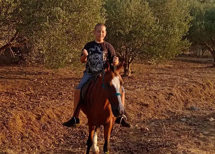 Apartman Primitivo Bay Hvar Hvar Town